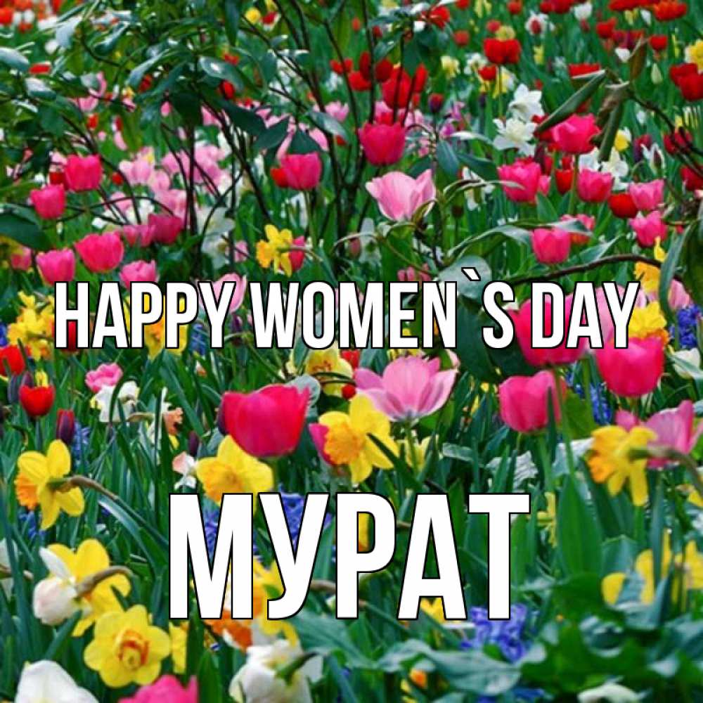 Greetings card с именем, Мурат happy women`s day с международным женским днем поздравления для женщины Greetings with text for free download 
